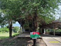 https://xn--www-pkl4a5c5d8af2h9bbc3a67a.ohoproperty.com/155686/ธนาคารกสิกรไทย/ขายบ้านเดี่ยว/เมืองเดช/เดชอุดม/อุบลราชธานี/