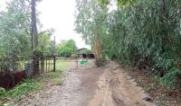 https://xn--www-pkl4a5c5d8af2h9bbc3a67a.ohoproperty.com/167977/ธนาคารกสิกรไทย/ขายบ้านเดี่ยว/โพธิ์ศรีสว่าง/โพนทอง/ร้อยเอ็ด/