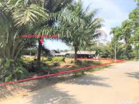 https://xn--www-pkl4a5c5d8af2h9bbc3a67a.ohoproperty.com/165696/ธนาคารกสิกรไทย/ขายบ้านเดี่ยว/ช้างกลาง/ช้างกลาง/นครศรีธรรมราช/