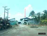 https://xn--www-pkl4a5c5d8af2h9bbc3a67a.ohoproperty.com/177629/ธนาคารกสิกรไทย/ขายบ้านเดี่ยว/หนองฉลอง/ขุขันธ์/ศรีสะเกษ/
