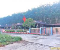 https://xn--www-pkl4a5c5d8af2h9bbc3a67a.ohoproperty.com/189226/ธนาคารกสิกรไทย/ขายบ้านเดี่ยว/จันดี/ฉวาง/นครศรีธรรมราช/