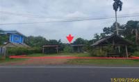 https://xn--www-pkl4a5c5d8af2h9bbc3a67a.ohoproperty.com/204985/ธนาคารกสิกรไทย/ขายบ้านเดี่ยว/หลักช้าง/ช้างกลาง/นครศรีธรรมราช/