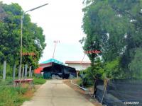 https://xn--www-pkl4a5c5d8af2h9bbc3a67a.ohoproperty.com/211177/ธนาคารกสิกรไทย/ขายบ้านเดี่ยว/ศาลาแดง/เมืองอ่างทอง/อ่างทอง/