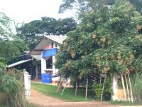 https://xn--www-pkl4a5c5d8af2h9bbc3a67a.ohoproperty.com/212538/ธนาคารกสิกรไทย/ขายบ้านเดี่ยว/นาทราย/ลี้/ลำพูน/