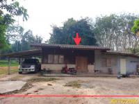 https://xn--www-pkl4a5c5d8af2h9bbc3a67a.ohoproperty.com/217814/ธนาคารกสิกรไทย/ขายบ้านเดี่ยว/หลักช้าง/ช้างกลาง/นครศรีธรรมราช/