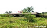 https://xn--www-pkl4a5c5d8af2h9bbc3a67a.ohoproperty.com/157589/ธนาคารกสิกรไทย/ขายโกดัง/แม่สูน/ฝาง/เชียงใหม่/