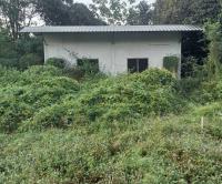 https://xn--www-pkl4a5c5d8af2h9bbc3a67a.ohoproperty.com/181765/ธนาคารกสิกรไทย/ขายเพิงอเนกประสงค์/ห้วยเกตุ/ตะพานหิน/พิจิตร/