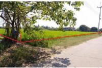 https://xn--www-pkl4a5c5d8af2h9bbc3a67a.ohoproperty.com/220457/ธนาคารไทยพาณิชย์/ขายที่ดินว่างเปล่า/เมืองเก่า/เมืองพิจิตร/พิจิตร/