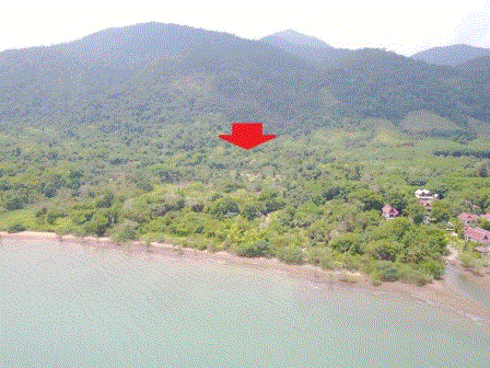 ที่ดินหลุดจำนอง ธ.ธนาคารกรุงเทพ เกาะช้าง เกาะช้าง ตราด