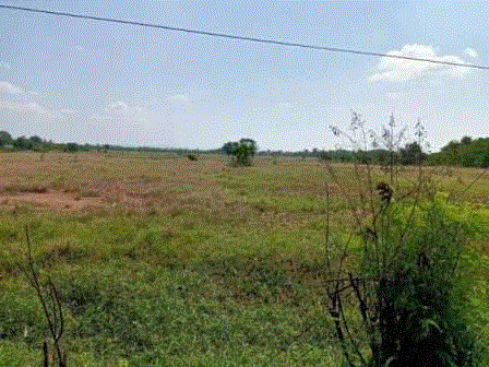 ที่ดินหลุดจำนอง ธ.ธนาคารกรุงเทพ สระแก้ว เมืองสระแก้ว สระแก้ว