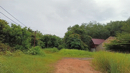 ที่ดินหลุดจำนอง ธ.ธนาคารกรุงเทพ คู จะนะ สงขลา