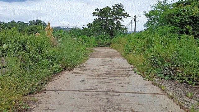 ที่ดินหลุดจำนอง ธ.ธนาคารกรุงเทพ ขุนทะเล เมืองสุราษฎร์ธานี สุราษฎร์ธานี