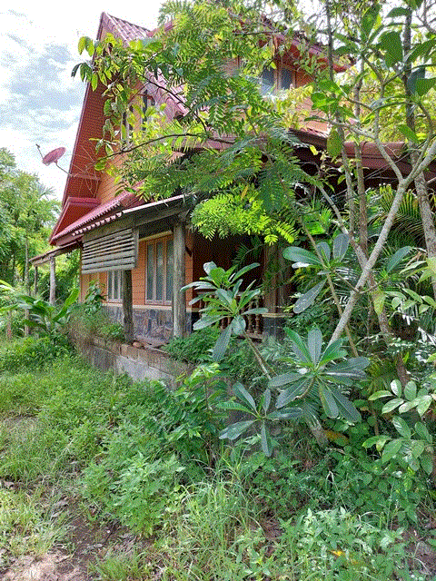 https://xn--www-pkl4a5c5d8af2h9bbc3a67a.ohoproperty.com/185355/ธนาคารกรุงเทพ/ขายบ้าน/ท่ายาง/เมืองชุมพร/ชุมพร/
