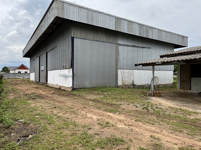 https://xn--www-pkl4a5c5d8af2h9bbc3a67a.ohoproperty.com/185165/ธนาคารกรุงเทพ/ขายโกดัง/นนทรี/กบินทร์บุรี/ปราจีนบุรี/