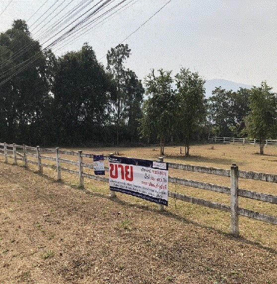 ที่ดินพร้อมสิ่งปลูกสร้าง (อื่น ๆ)หลุดจำนอง ธ.ธนาคารกรุงเทพ บ้านโฮ่ง บ้านโฮ่ง ลำพูน