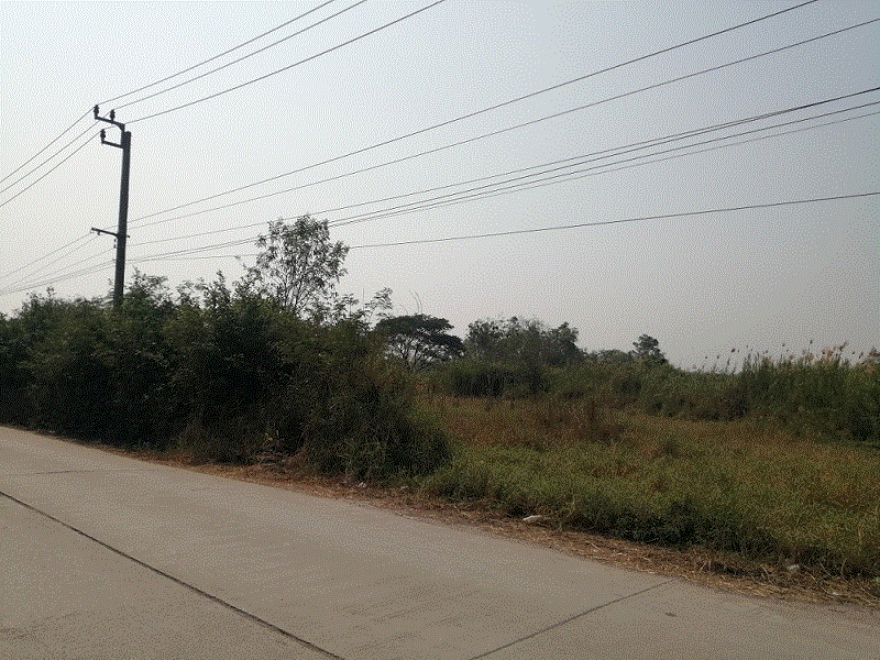 ที่ดินหลุดจำนอง ธ.ธนาคารกรุงเทพ ลำต้อยติ่ง หนองจอก กรุงเทพมหานคร