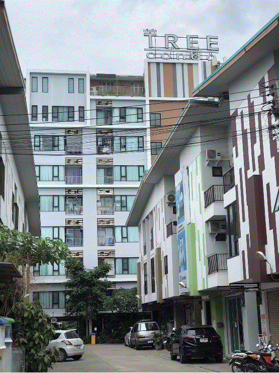 https://xn--www-pkl4a5c5d8af2h9bbc3a67a.ohoproperty.com/195730/ธนาคารกรุงเทพ/ขายห้องชุดพักอาศัย/ท่าศาลา/เมืองเชียงใหม่/เชียงใหม่/