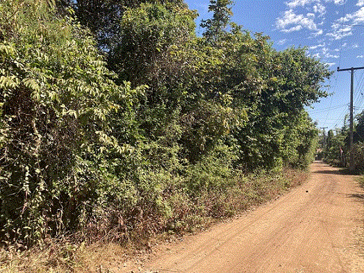 ที่ดินหลุดจำนอง ธ.ธนาคารกรุงเทพ หลุบ เมืองกาฬสินธุ์ กาฬสินธุ์