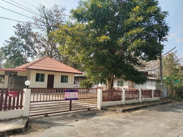 https://xn--www-pkl4a5c5d8af2h9bbc3a67a.ohoproperty.com/209532/ธนาคารกรุงเทพ/ขายบ้าน/ยุหว่า/สันป่าตอง/เชียงใหม่/
