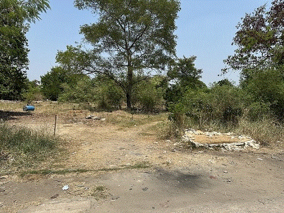 ที่ดินหลุดจำนอง ธ.ธนาคารกรุงเทพ   