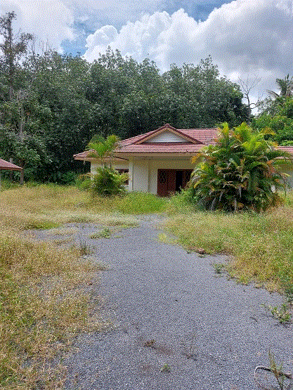https://xn--www-pkl4a5c5d8af2h9bbc3a67a.ohoproperty.com/209537/ธนาคารกรุงเทพ/ขายบ้าน////