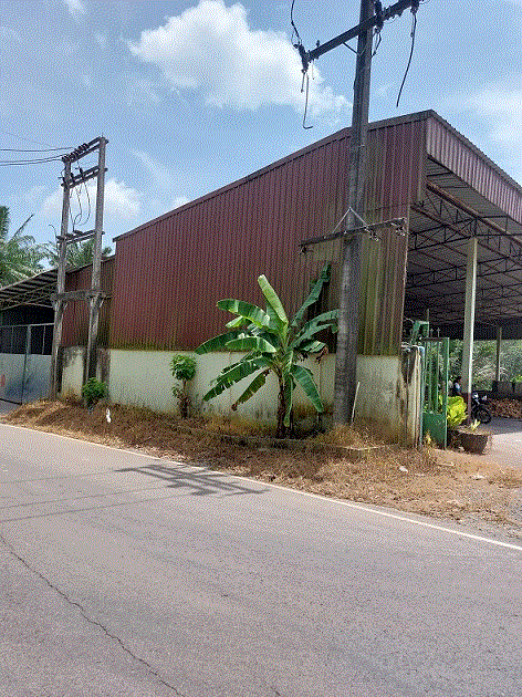 โกดังหลุดจำนอง ธ.ธนาคารกรุงเทพ บางหิน กะเปอร์ ระนอง
